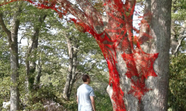 Artists Turn 43 Acres Into an Outdoor Museum Like You’ve Never Seen