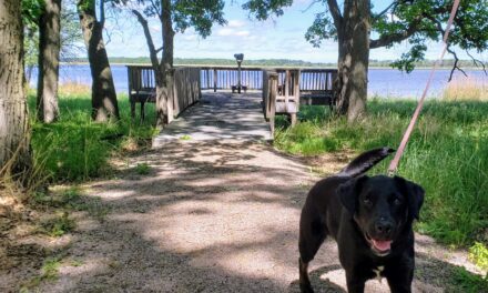 Up North in the Great Outdoors of Little Falls, Minnesota