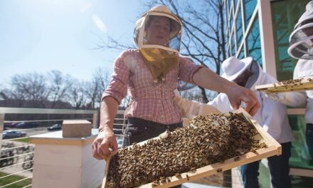 Honey Farms and Agritourism Stops on the Great River Road