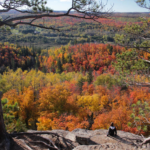 The Best Outdoor Experiences Near The Brainerd Lakes Area!