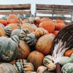 Best Fall Events In the Willamette River Valley