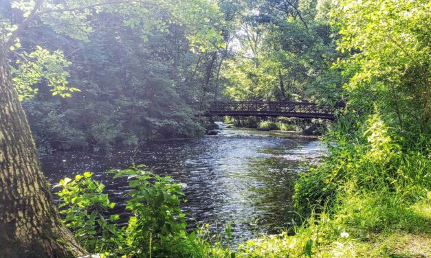 E.16 Kristina Vonberge | Little Falls Convention & Visitors Bureau