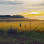 Road Trip Through Trempealeau County, Wisconsin: A Scenic Fall Drive